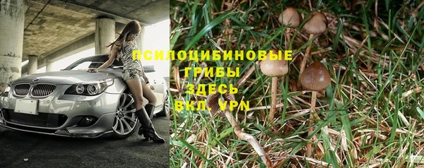 кокс Кинешма