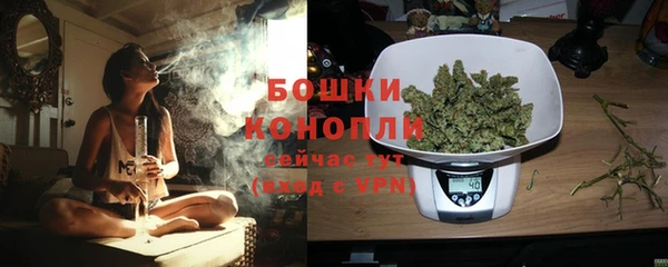 сатива Козловка