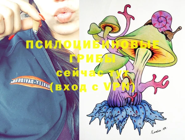 сатива Козловка