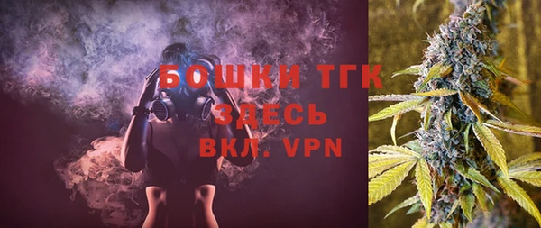 сатива Козловка