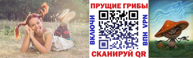 цены наркотик  Благовещенск  Псилоцибиновые грибы прущие грибы 